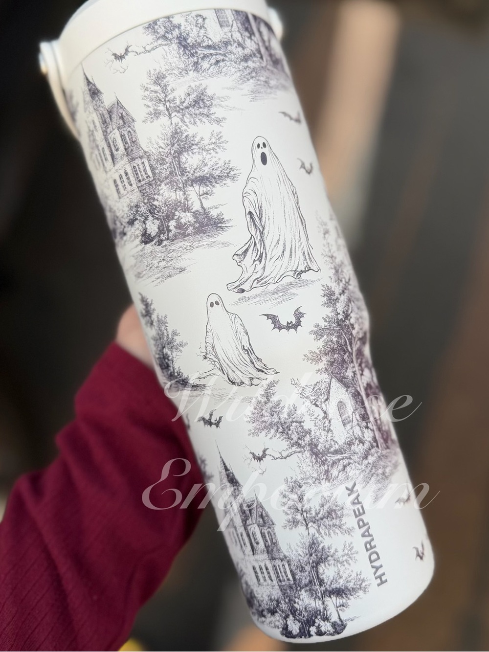 Hydrapeak haunted halloween village ghosts bats etched style water bottle nomad